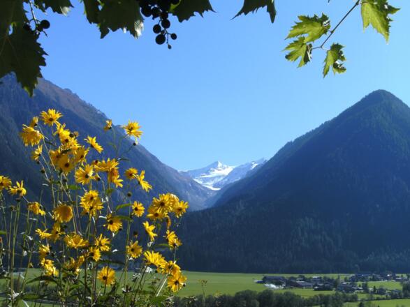 Venedigerblick im Herbst