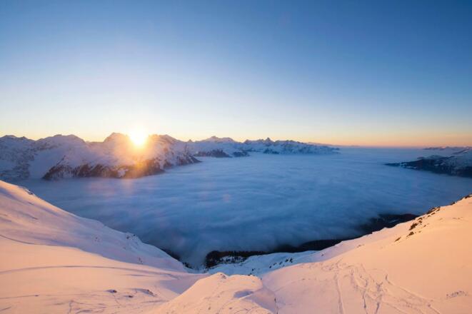 12622210_923653054355281_2303533374081758076_o