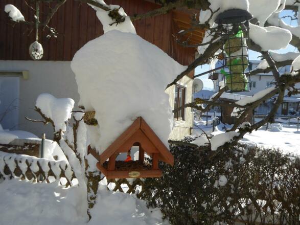 Vögel wohl behütet