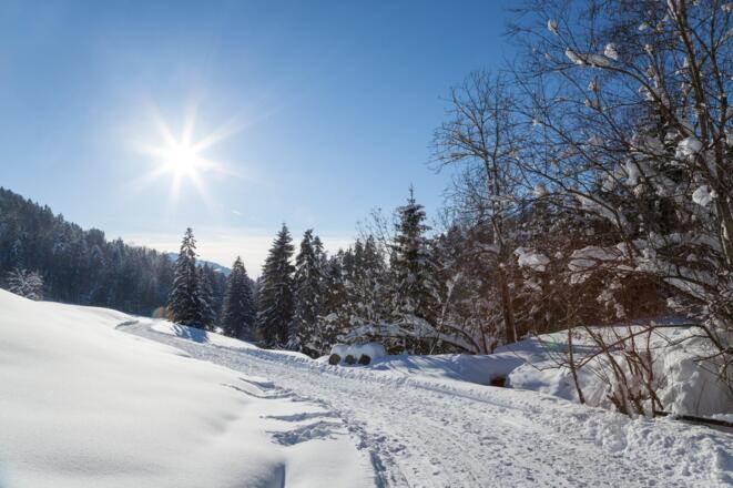 Winterwanderweg bei Bad Rain