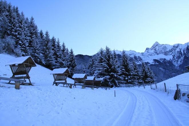 Bergbauernhof Burkert