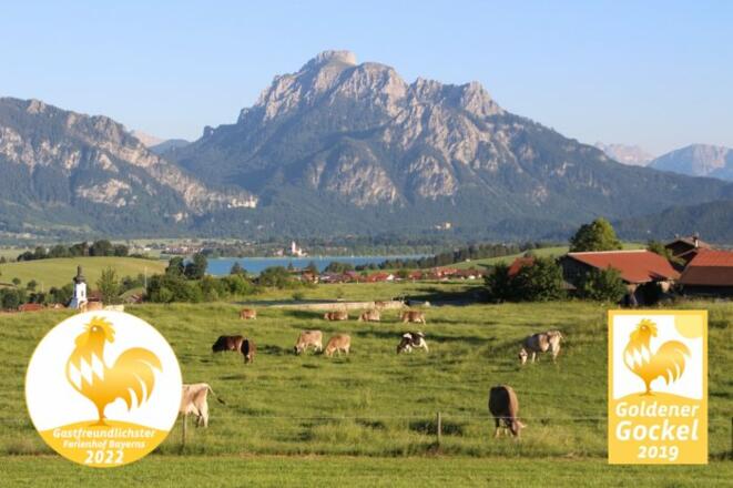 Goldener Gockel 2019 und 2022 Wohlfühlatmosphäre
