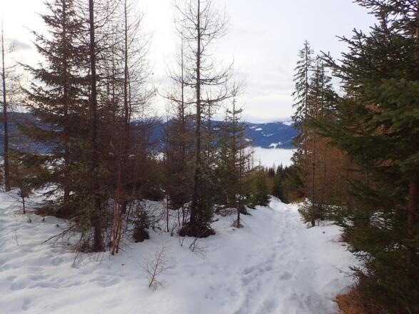 Am Sommerweg entlang