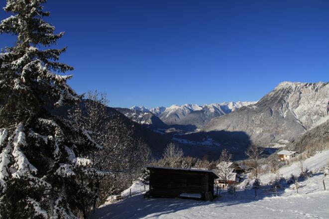 Bergbauernhof Burkert