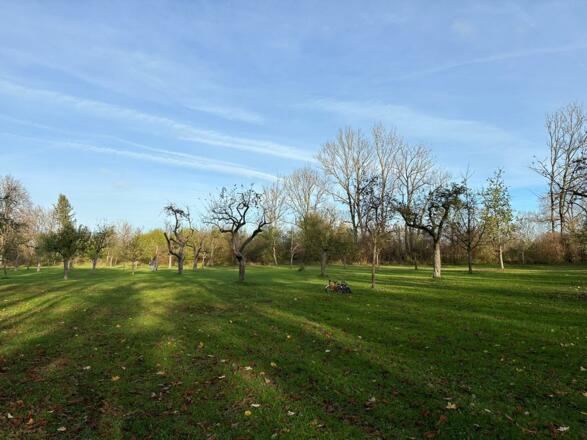 Städtischer Obstgarten in Garching