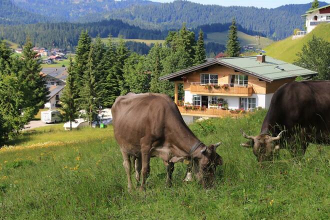 Natur pur