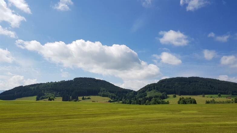 landschaft2