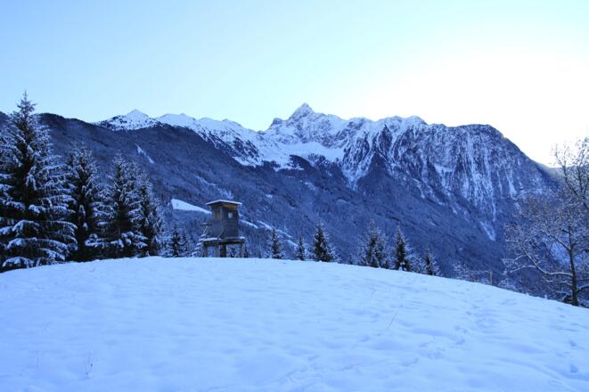 Bergbauernhof Burkert