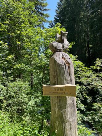 Solider Wanderschuh