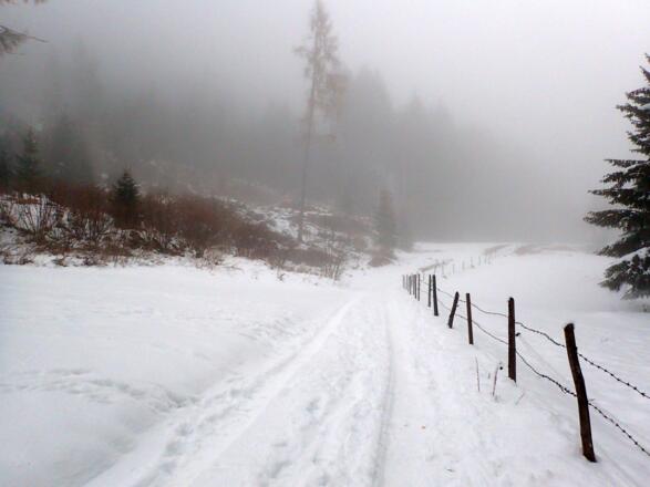 Anfangs auf einem Fahrweg
