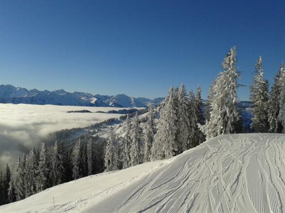 Auf dem Weiherkopf - über dem Nebel