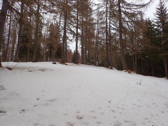 Kurz vor dem höchsten Punkt des Mitterberges