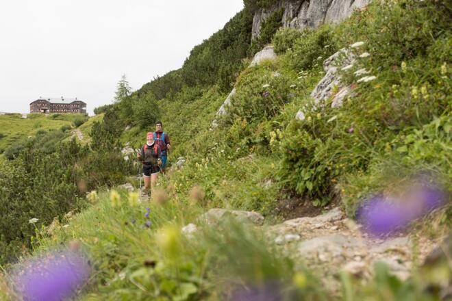 Auf dem Linzer Weg von der Hofpürglhütte