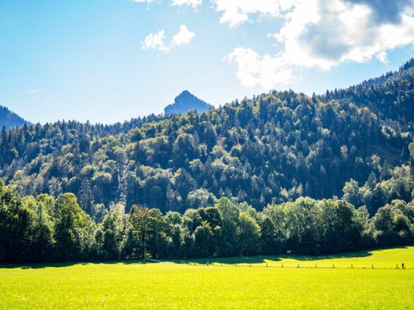 Ausblick Balkon Leonhardstein