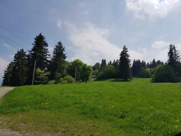 Villa_Lage_im_Wald