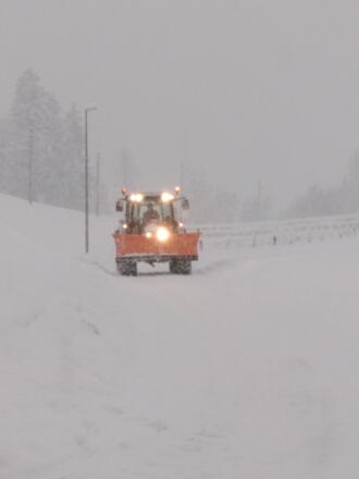 IMG_20190105_153027_resized_20190105_043210878