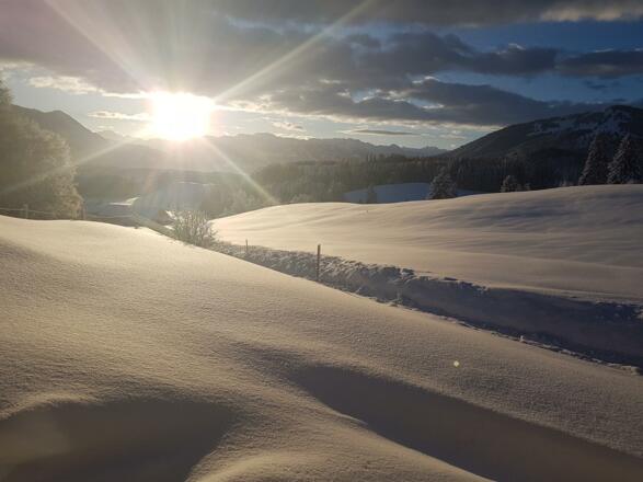 Winterlicher Sonnenaufgang