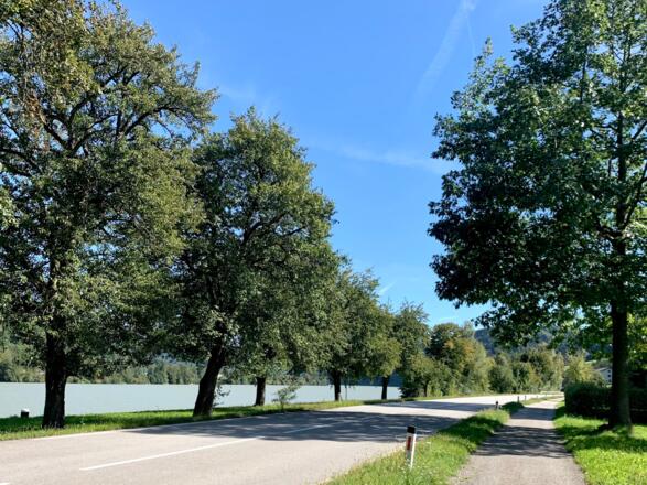 Der Donauradweg bei Pyrawang