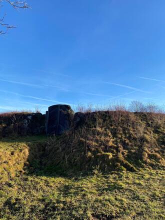 Das Tor zur Blauen Blume