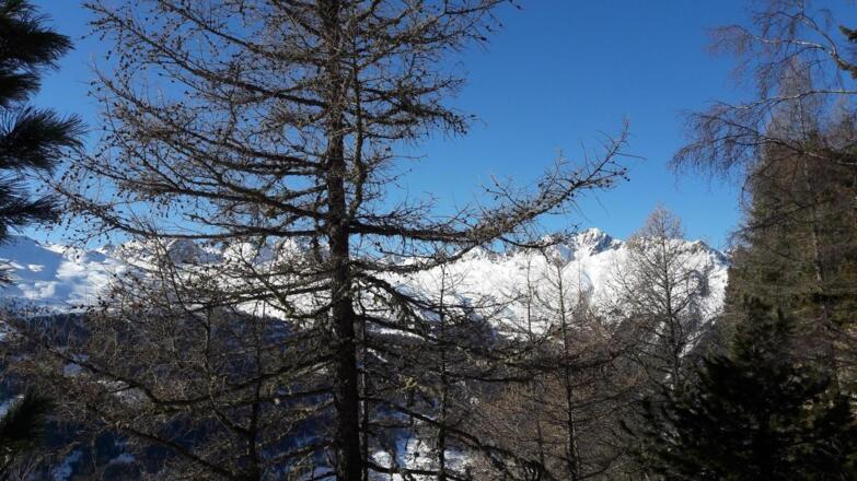 Panoramablick nach Süden