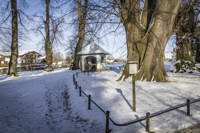 Die hundertjährige Linde inmitten der Insel