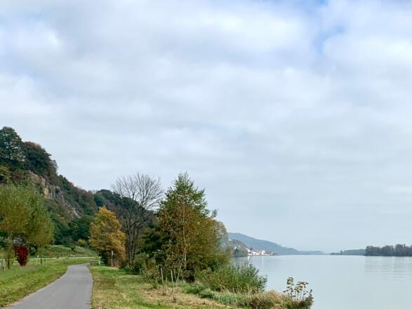 Donauradweg bei Kracking