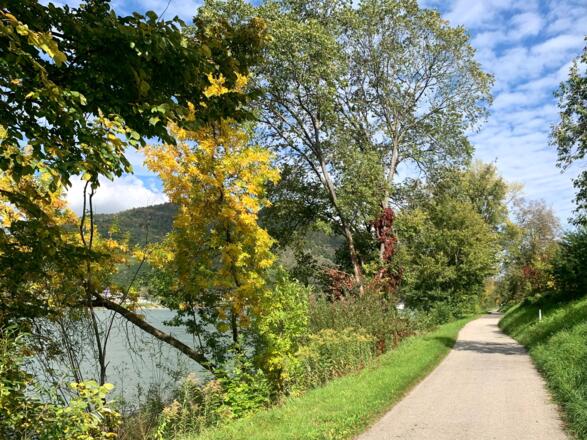 Donauradweg am Treppelweg in Oberarnsdorf