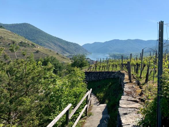 Aufgang zur Ruine Hinterhaus in Spitz an der Donau