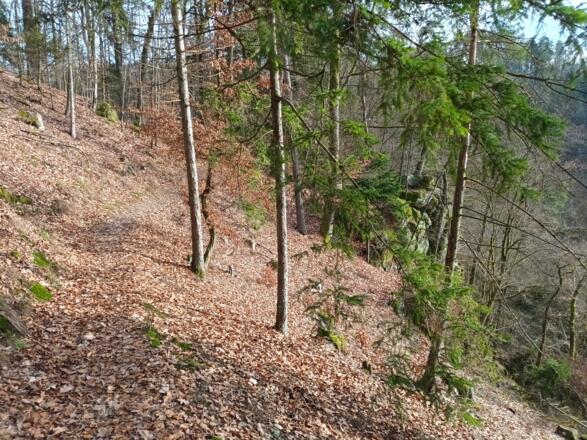 Steilhang Rundwanderweg Nr. 1