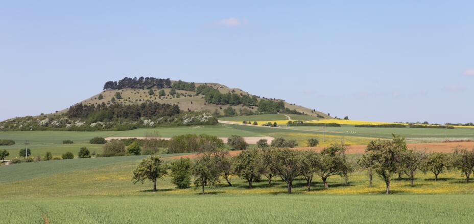 Zeugenberg Ipf bei Bopfingen