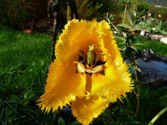 Frühling im Allgäu.
