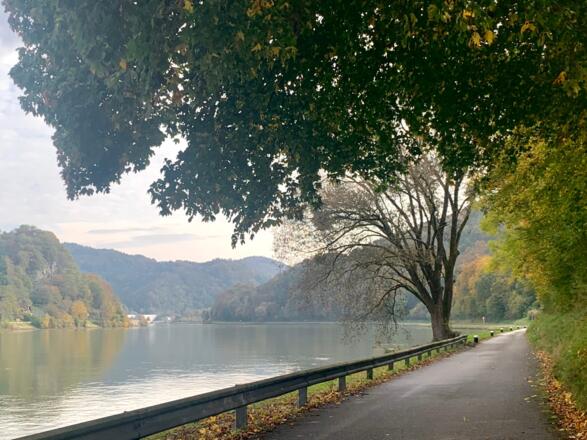Die Donau im Strudengau