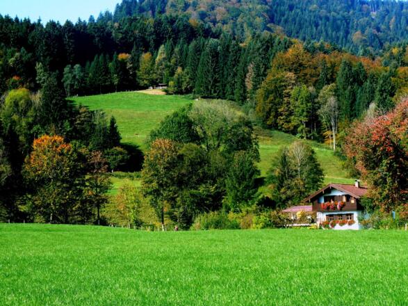 Das Wildbachhäusl mit Umgebung