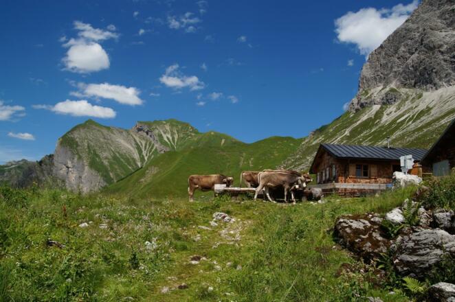 Herrliches Wandergebiet