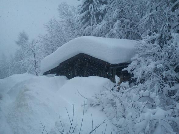 Winterlandschaft (4)
