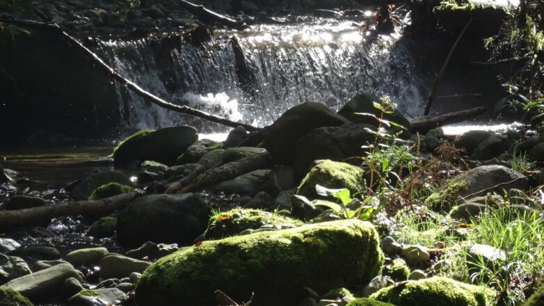 Hausbachklamm