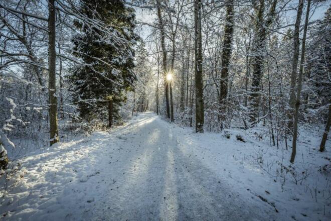 Winterwandern auf der Herreninsel