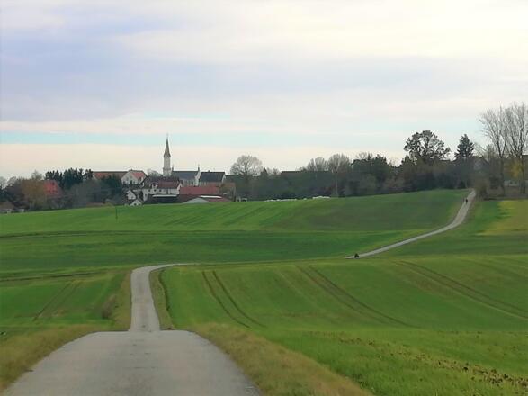 Nördlich von Wolfersdorf Richtung Billingsdorf