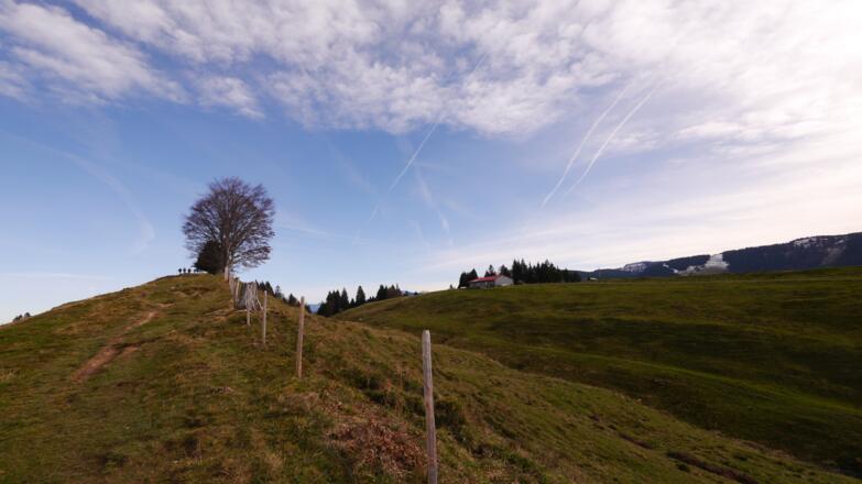 Wenig westlich der Thaler Höhe, rechts die Neuschwand-Alpe.