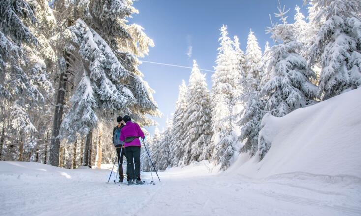 Auf dem Skiwanderweg Rennsteig