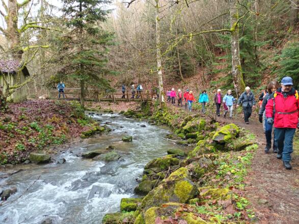 Brücke über die Menach - Rundwanderweg 1 - Wendepunkt