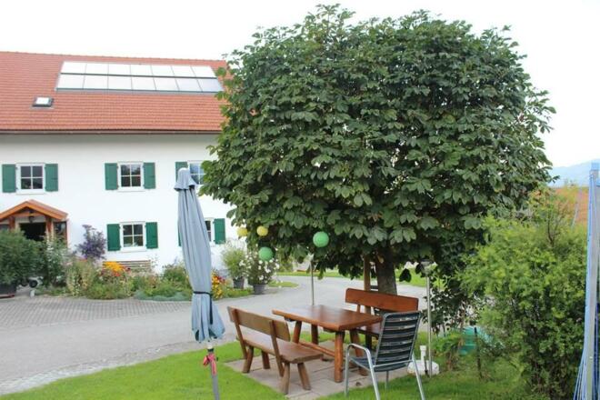 Sitzecke unterm Kastanienbaum