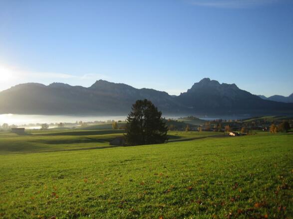 Forggensee