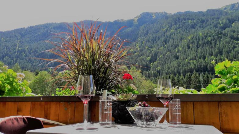 Ferienwohnung-Montafon-Piz Buin-96