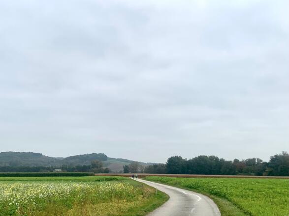 Donauradweg auf der Gottsdorfer Scheibe