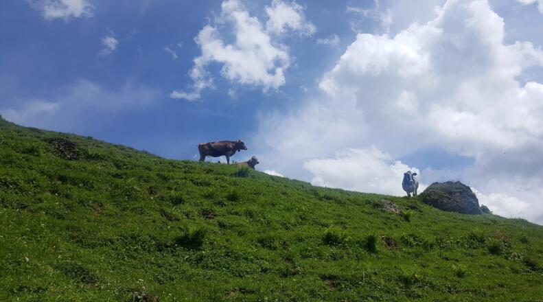 Wandern im Lecknertal