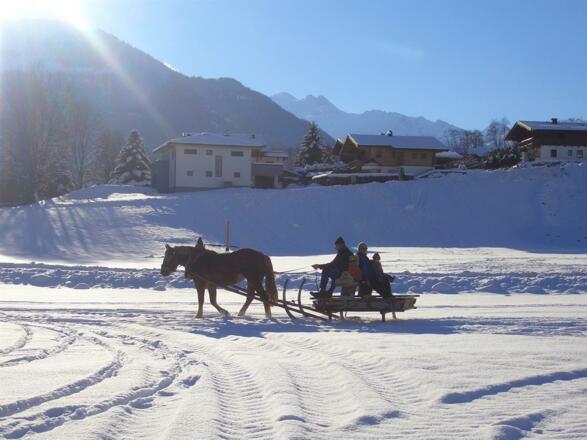 Lora bei der Arbeit :)