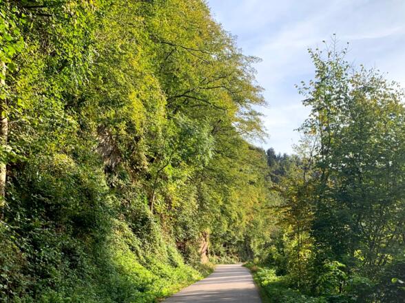 Der Donauradweg bei der Schlögener Schlinge
