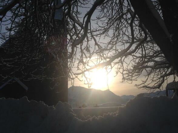 Winter mit Grünten im Hintergrund
