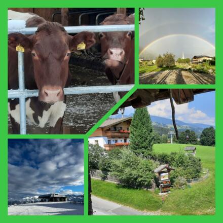 InCollage_20221229_134230471